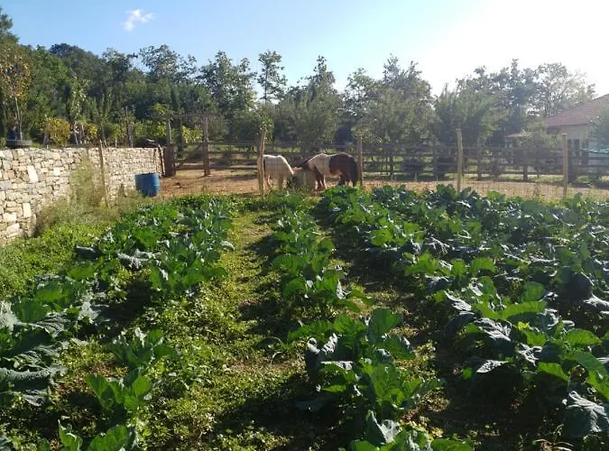 Gems Of Pinakates * Pinakátai