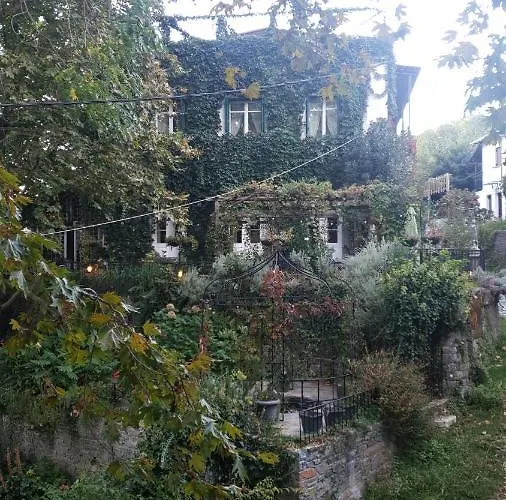 Willa Gems Of Pinakates